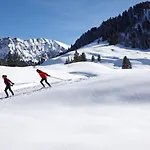 Krone - & Restaurant Im Bregenzerwald 4*