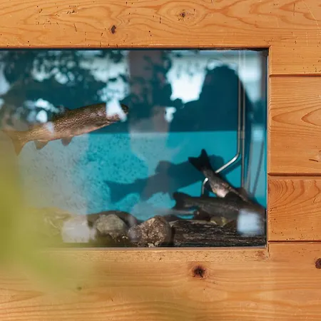 Hotel Krone Hittisau - Hotel & Restaurant Im Bregenzerwald 4*