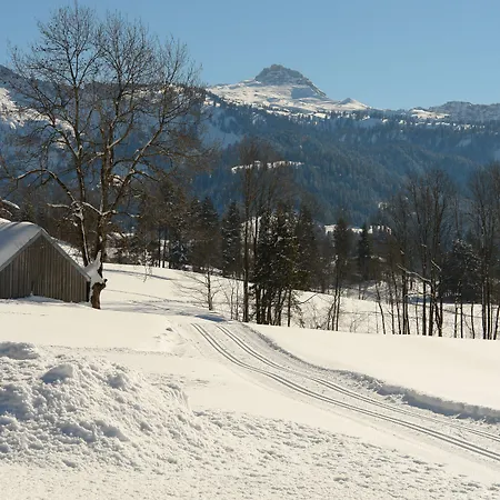 Krone Hittisau - Hotel & Restaurant Im Bregenzerwald Hotel