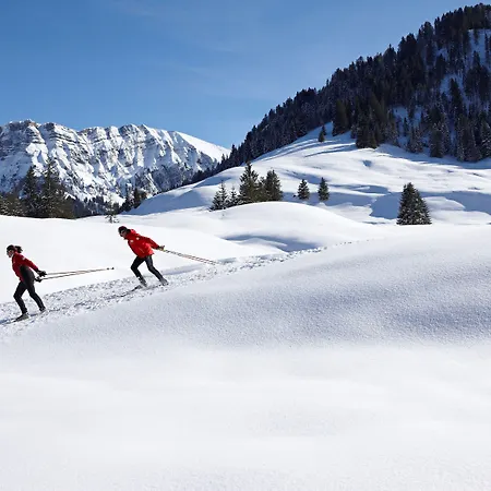 Krone Hittisau - Hotel & Restaurant Im Bregenzerwald 4*