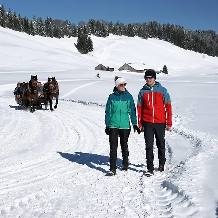 Krone - & Restaurant Im Bregenzerwald Hittisau
