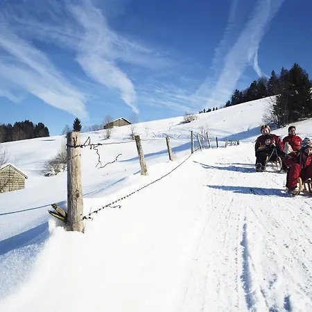 Krone - & Restaurant Im Bregenzerwald 4* Hittisau