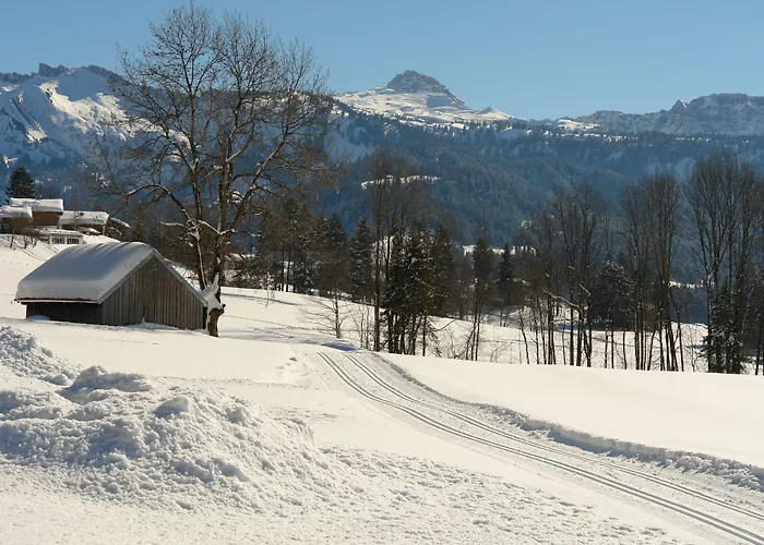 Krone Hittisau - Hotel & Restaurant Im Bregenzerwald Hotel