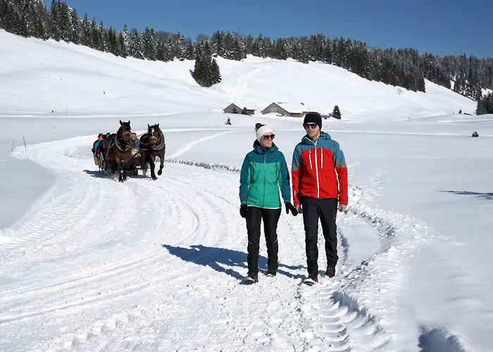 Krone Hittisau - Hotel & Restaurant Im Bregenzerwald Hittisau
